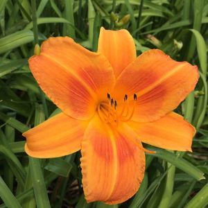 Meet your Posher, Joseph